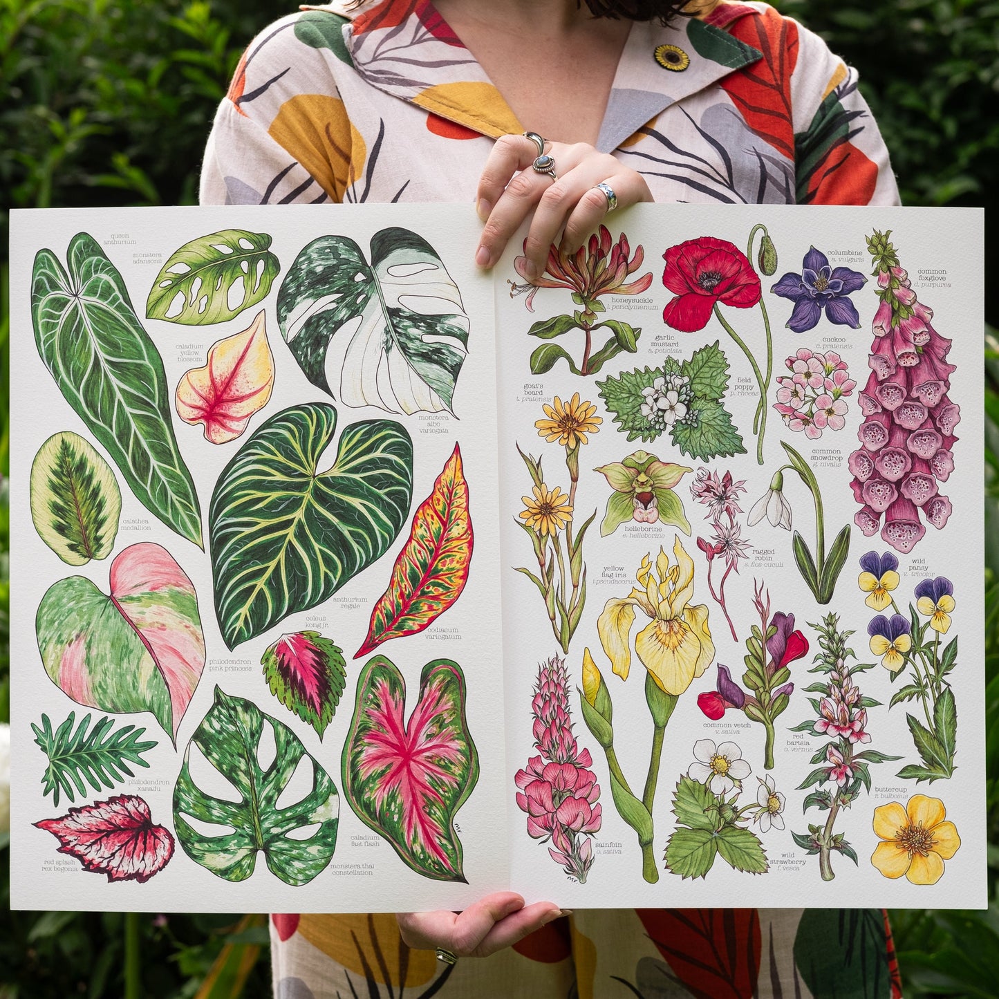 Tropical Leaves Print