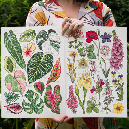 Tropical Leaves Print