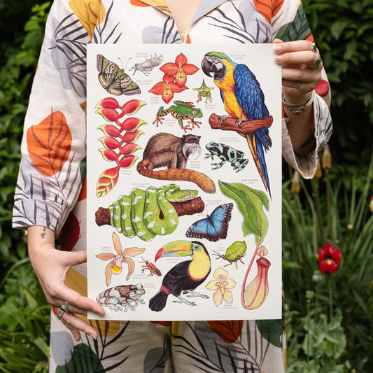 Person holding a colorful illustration of nature-themed items in front of a garden background