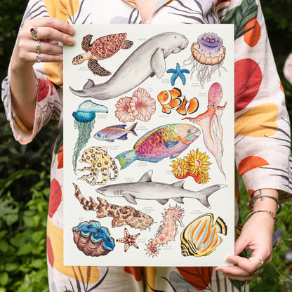 Great Barrier Reef Print