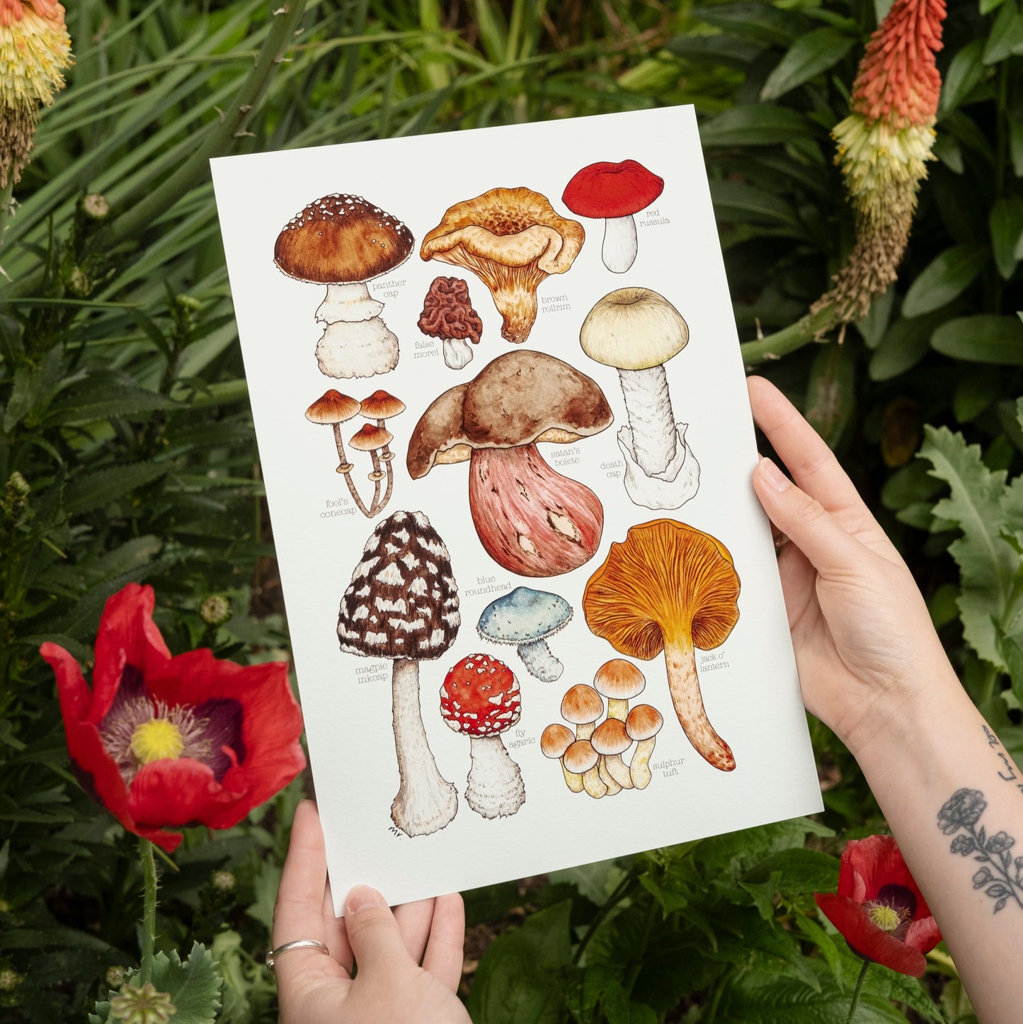 Toxic Mushrooms Print