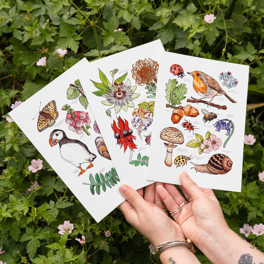 Print Deal - 3 for 2