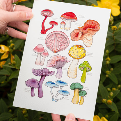 Rainbow Mushroom Print