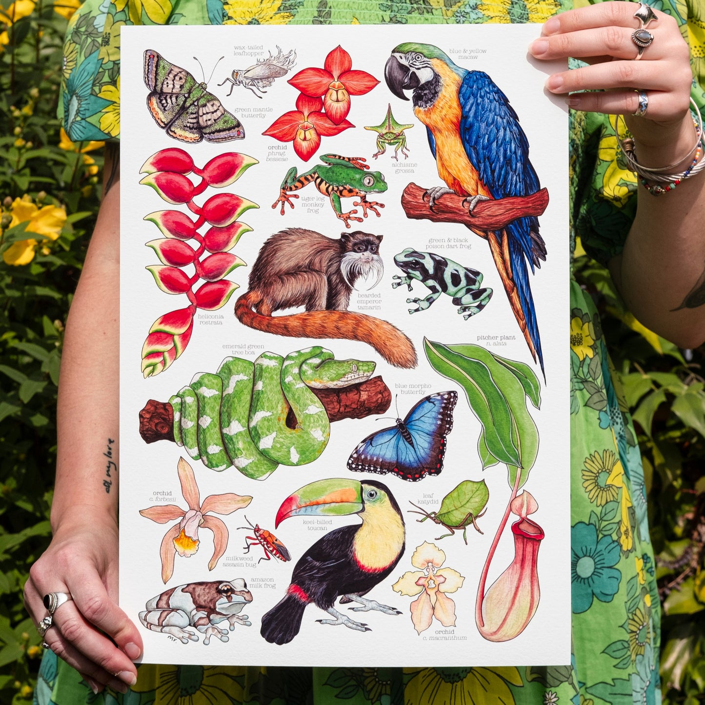 Amazon Rainforest Print
