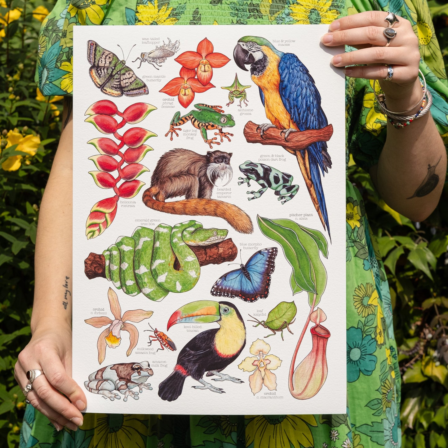 Amazon Rainforest Print