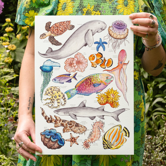 Great Barrier Reef Print