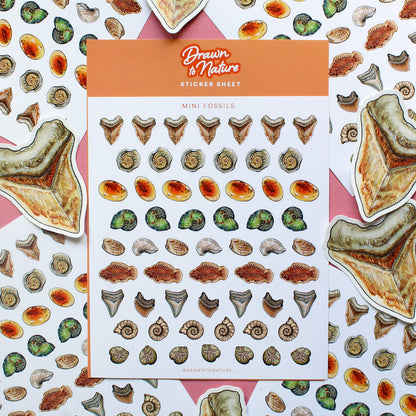 Mini Fossils Sticker Sheet