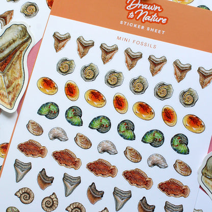 Mini Fossils Sticker Sheet