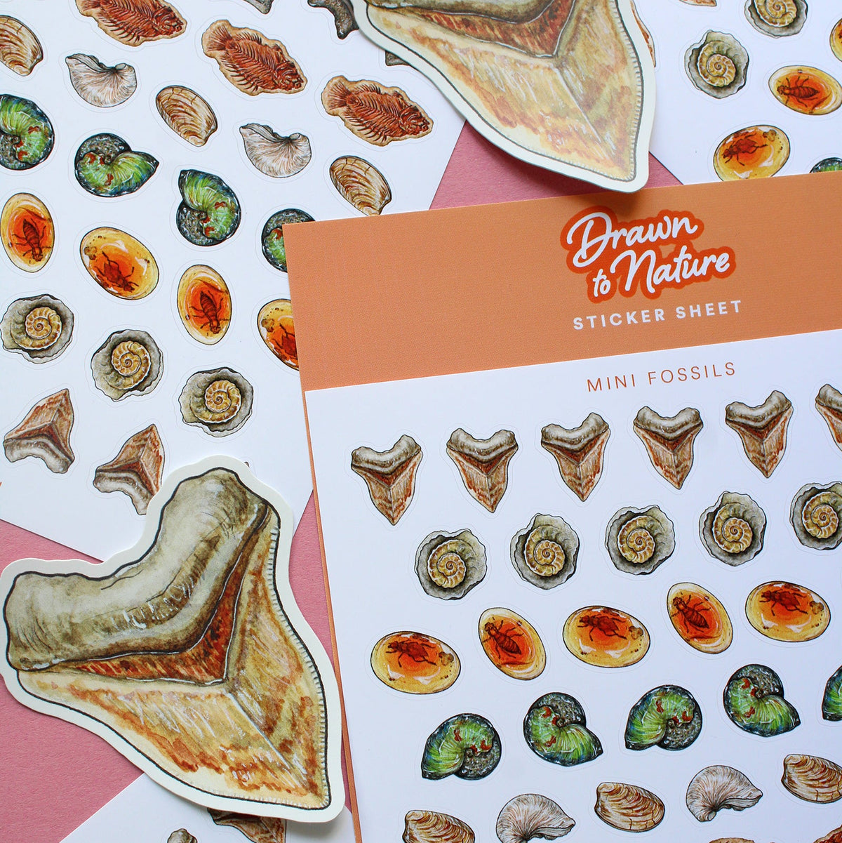 Mini Fossils Sticker Sheet