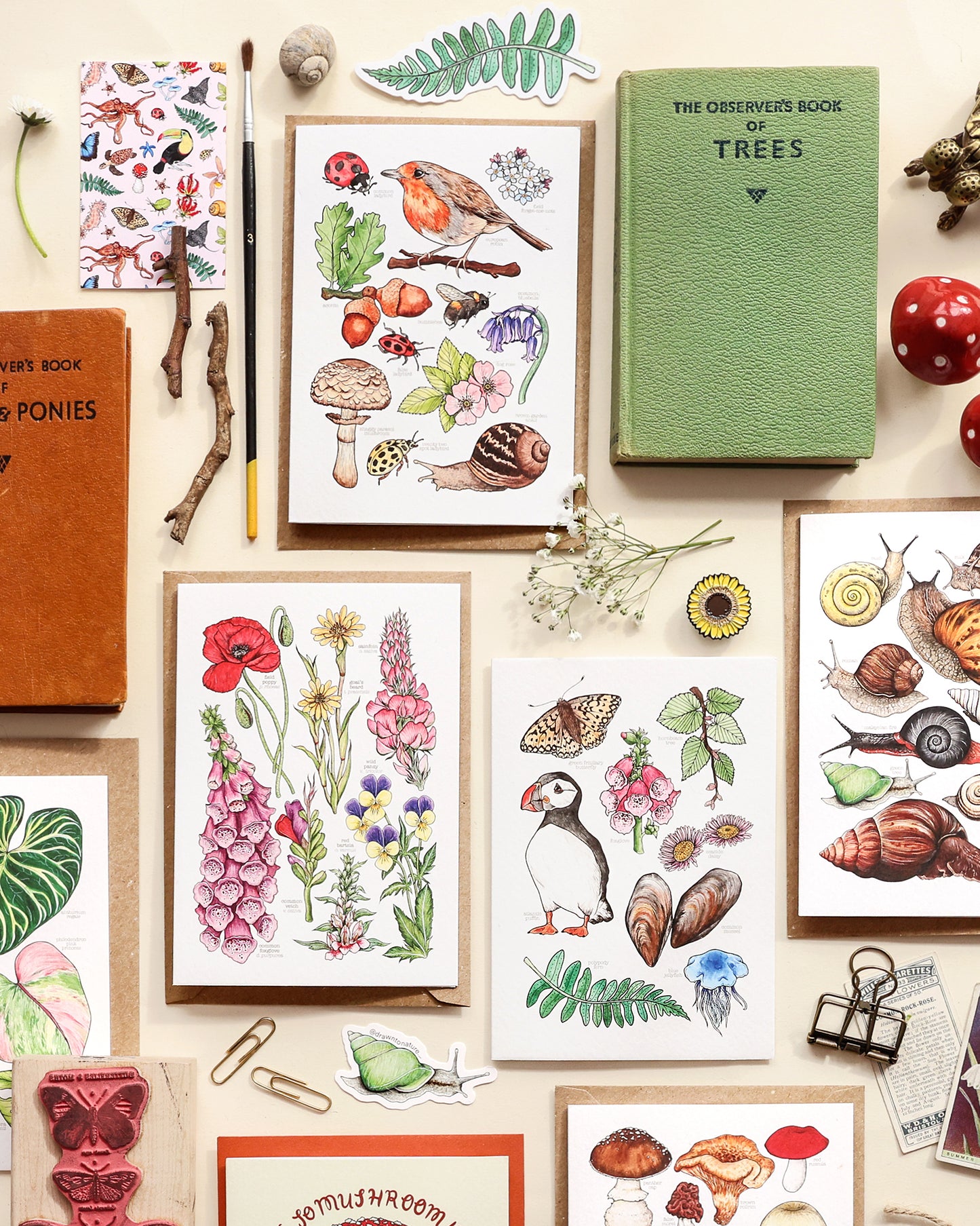 British Wildlife Card