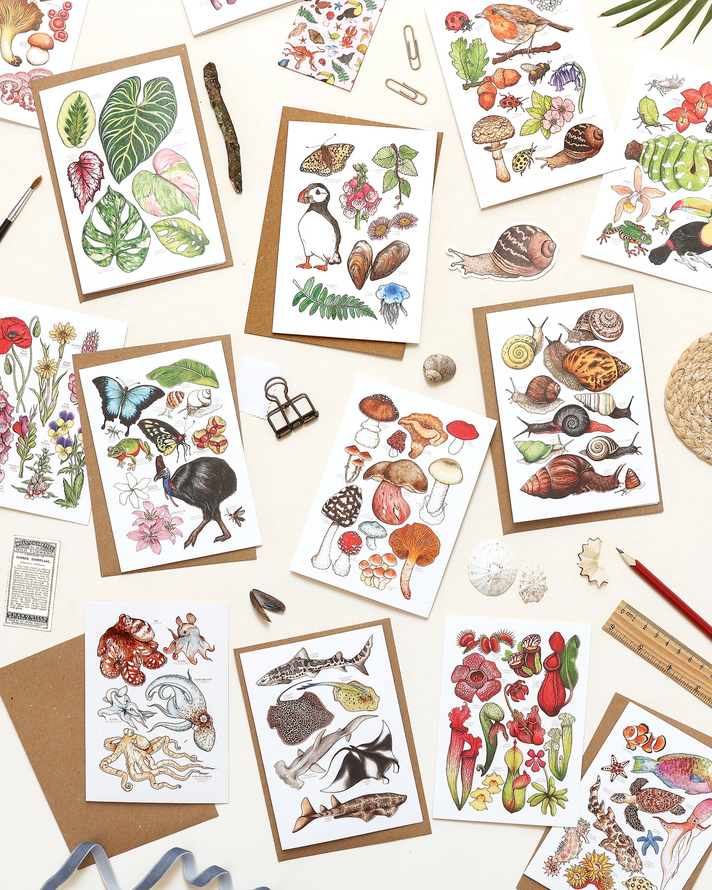 British Wildlife Card