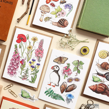 British Wildlife Card