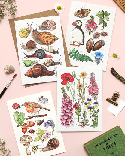British Wildlife Card