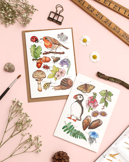 British Wildlife Card