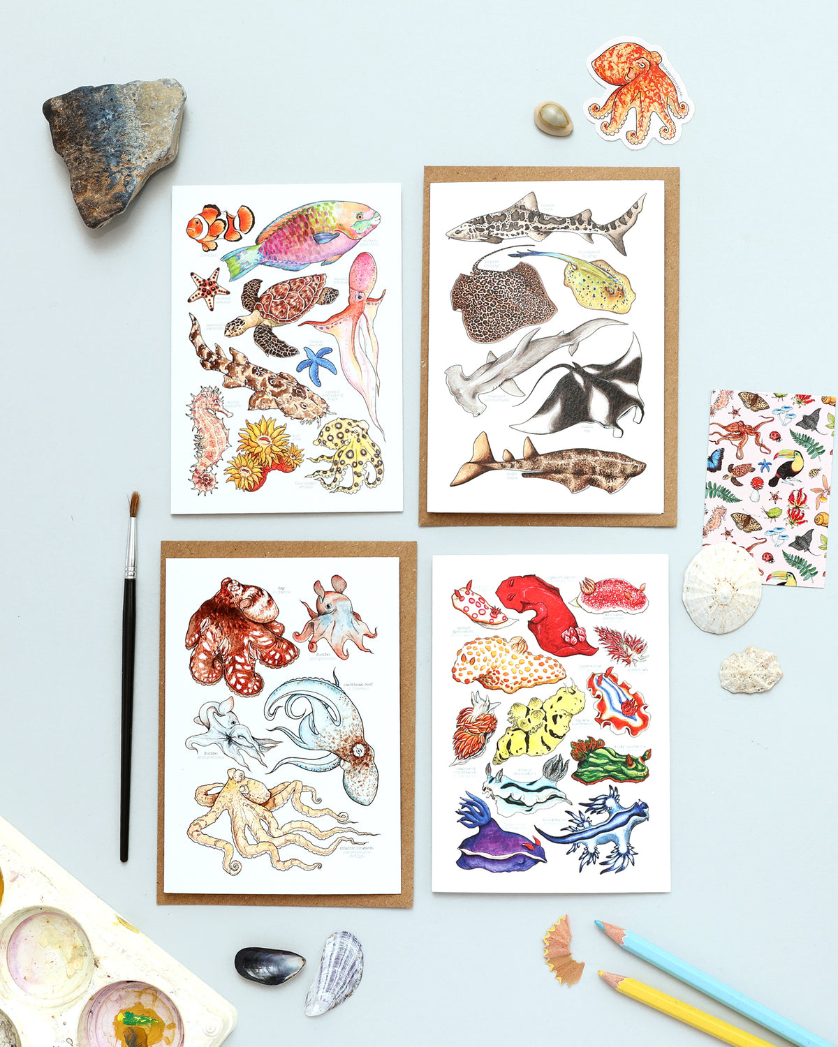 Great Barrier Reef Card