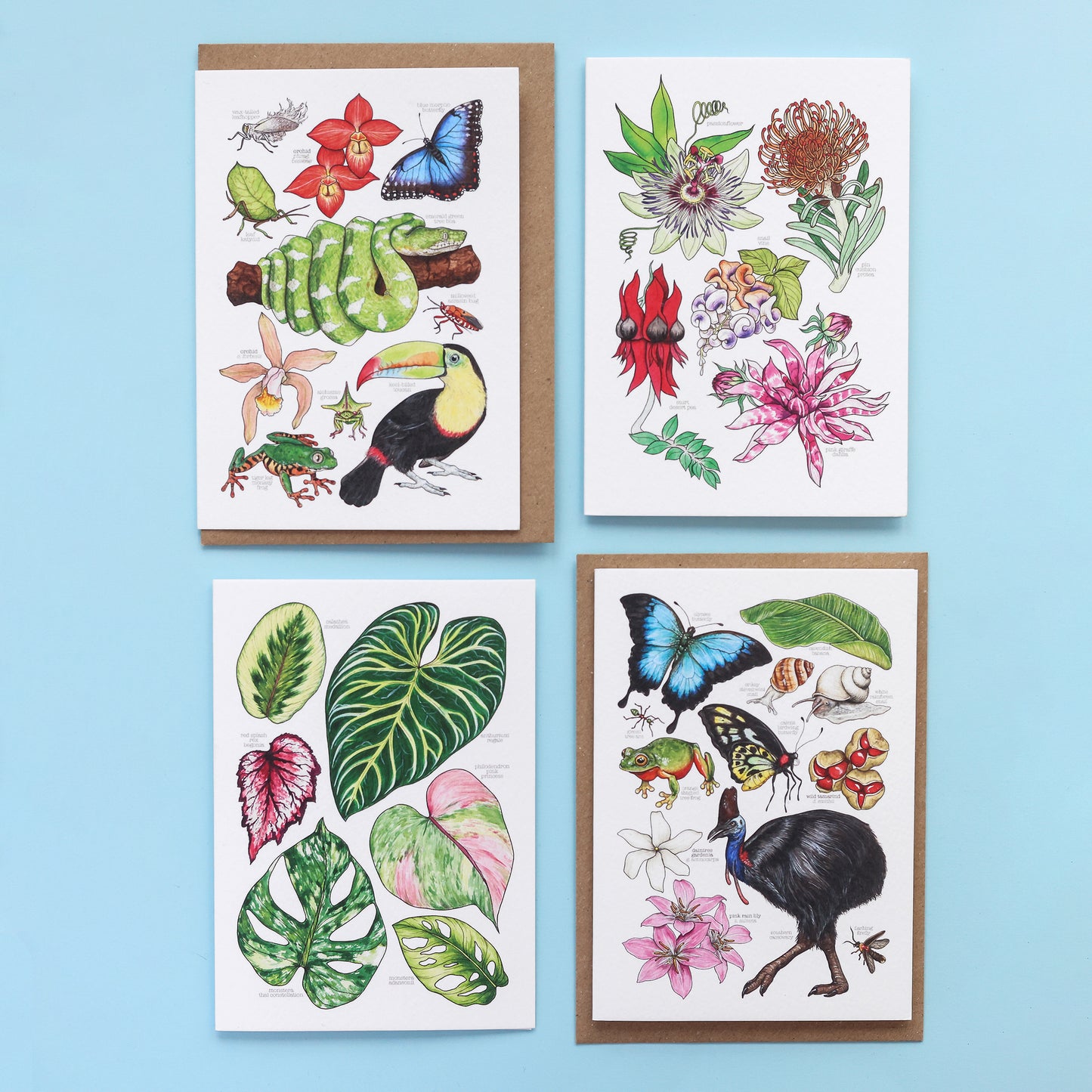 Tropical Leaves Card