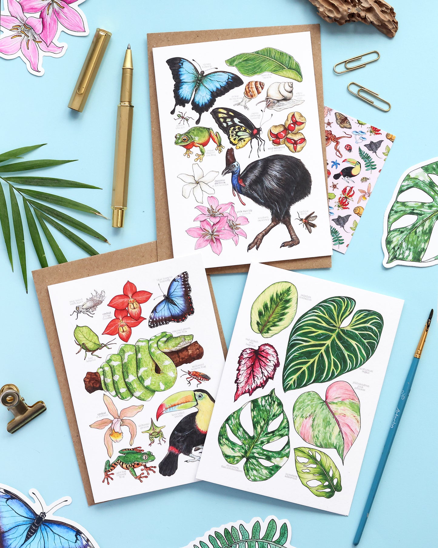 Nature Card Deal - Any 4/Any 8
