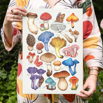 Mushrooms II Print
