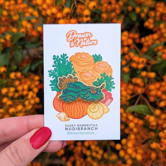 Nudibranch Enamel Pin