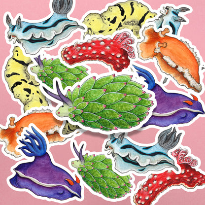 Rainbow Sea Slugs Sticker Pack - Set of 6
