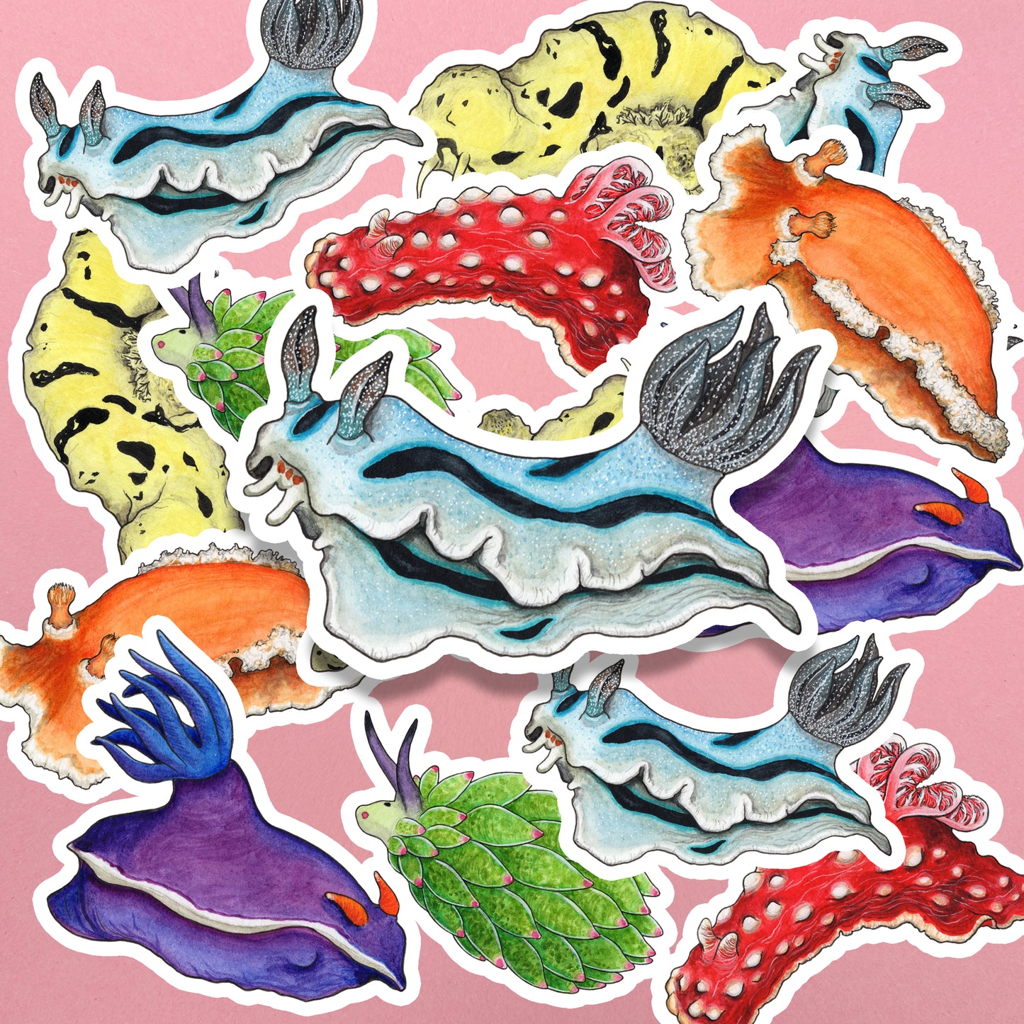 Rainbow Sea Slugs Sticker Pack - Set of 6