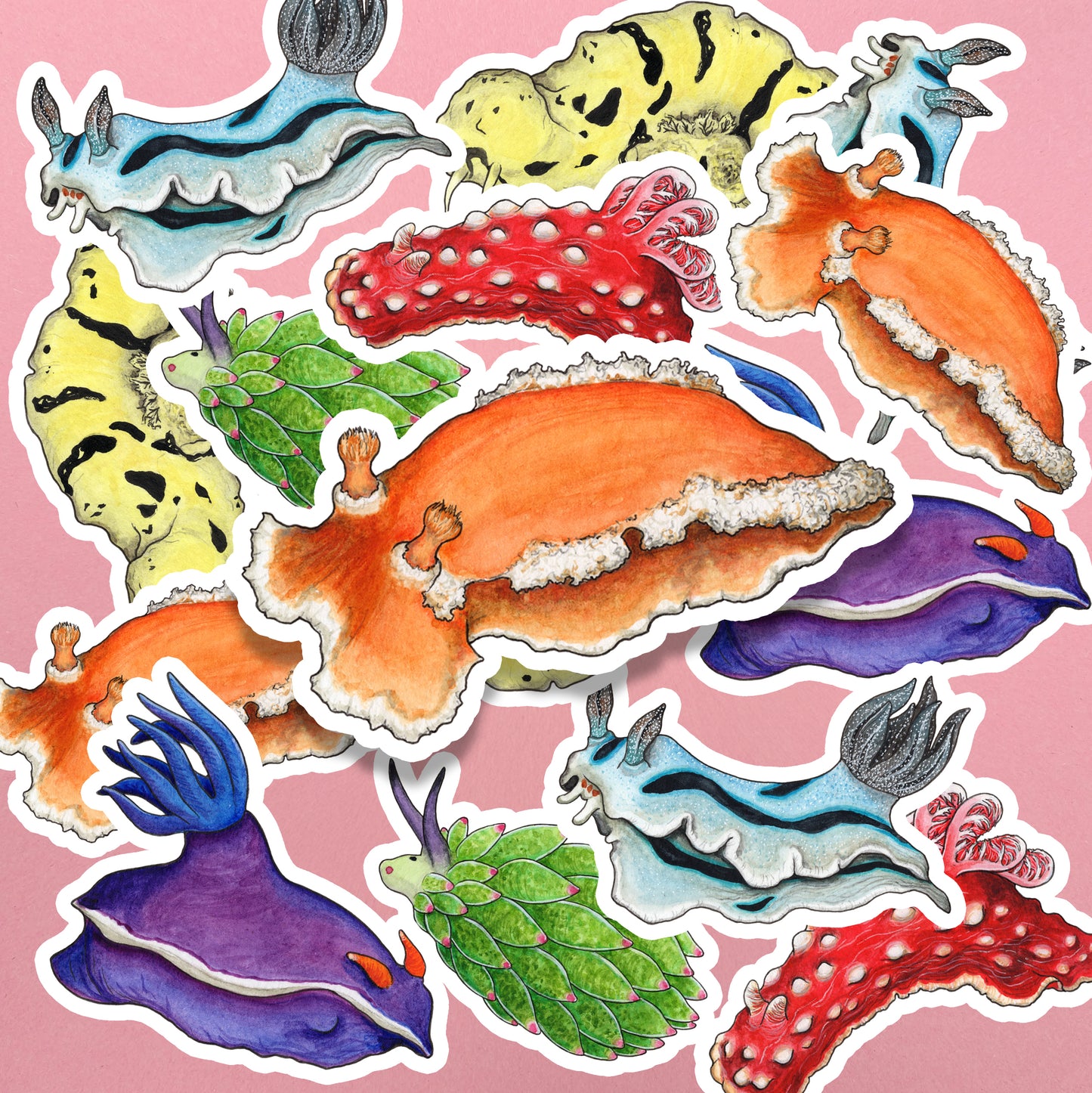 Rainbow Sea Slugs Sticker Pack - Set of 6