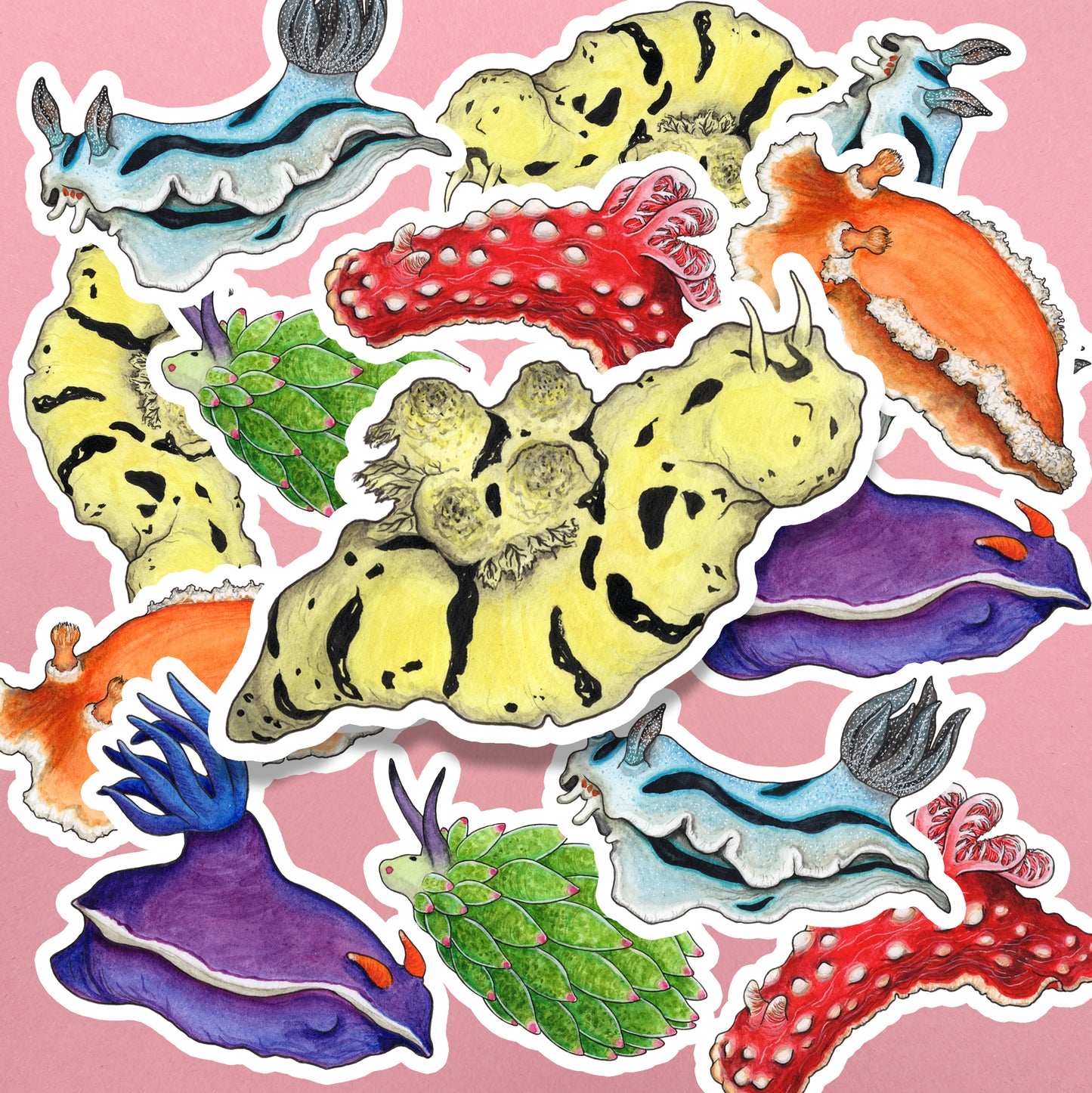 Rainbow Sea Slugs Sticker Pack - Set of 6