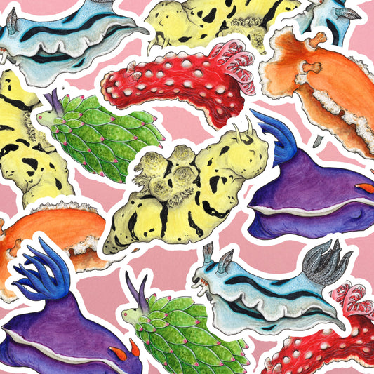 Rainbow Sea Slugs Sticker Pack - Set of 6