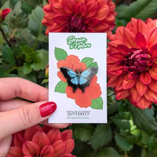 Ulysses Butterfly Pin