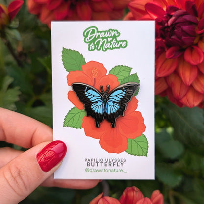 Ulysses Butterfly Pin
