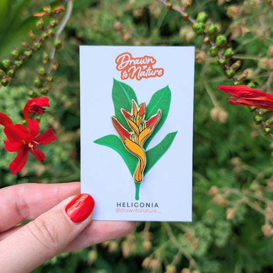 Heliconia Pin