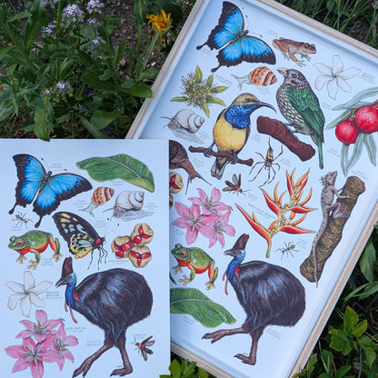 Australian Rainforest Print