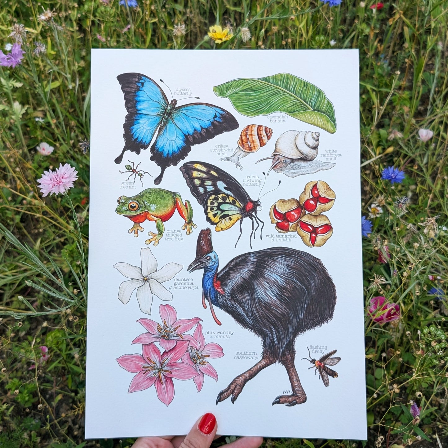 Australian Rainforest Print