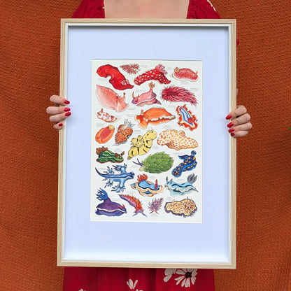 Rainbow Sea Slugs Print