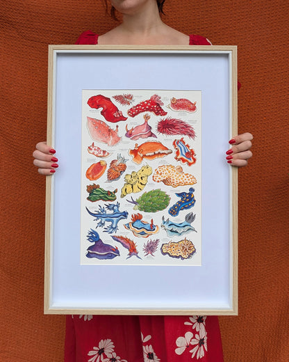 Rainbow Sea Slugs Print
