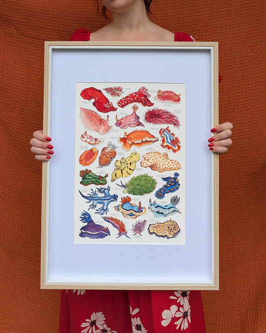 Rainbow Sea Slugs Print