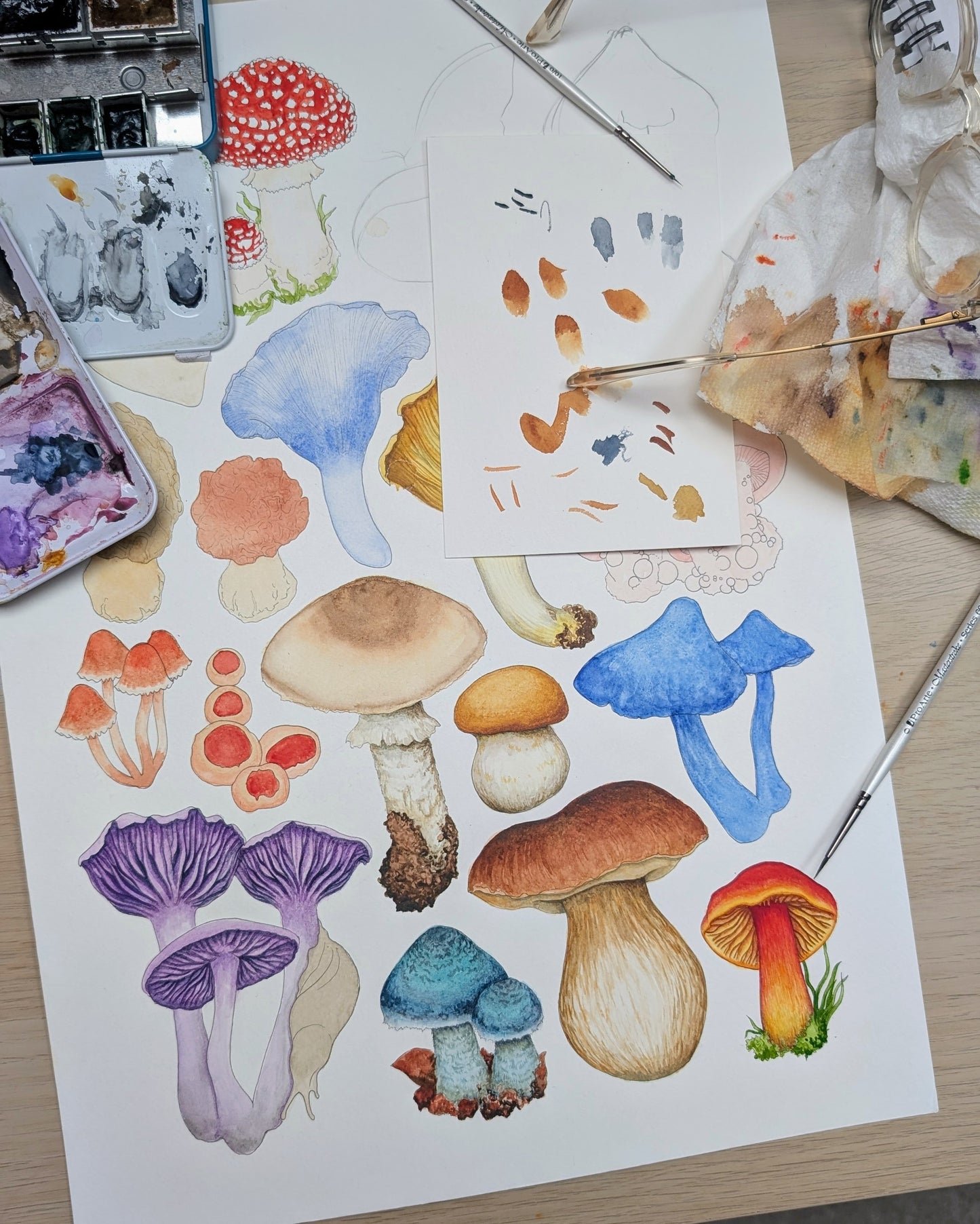 Mushrooms II Print