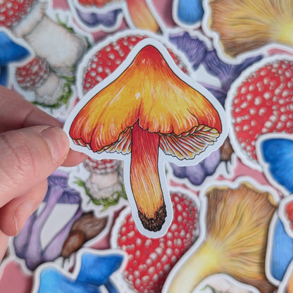 Mushrooms II Sticker Pack - Set of 6