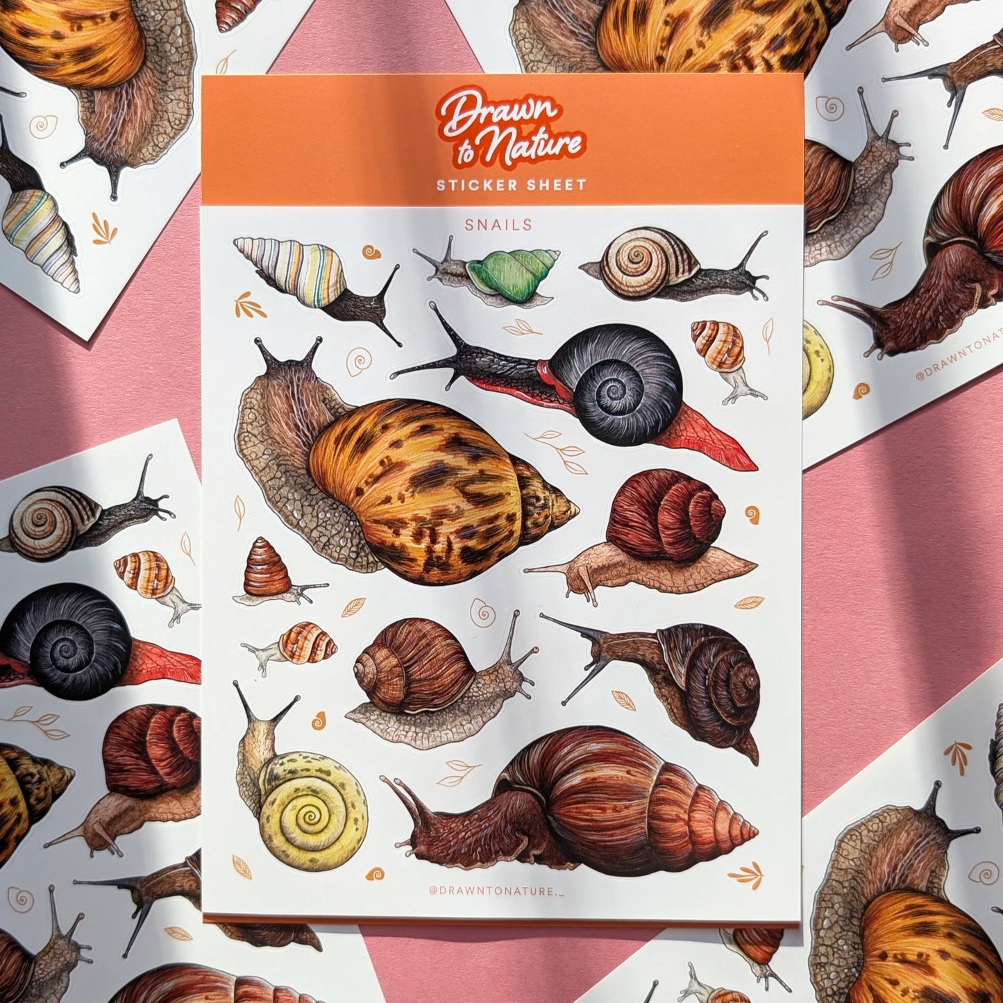 Snails Sticker Sheet