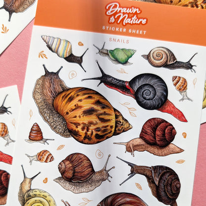 Snails Sticker Sheet