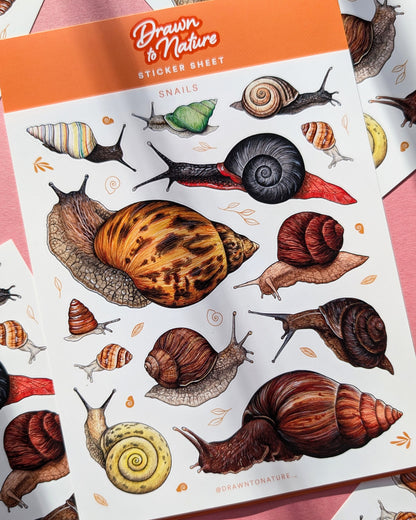 Snails Sticker Sheet