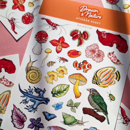 Rainbow Nature Sticker Sheet