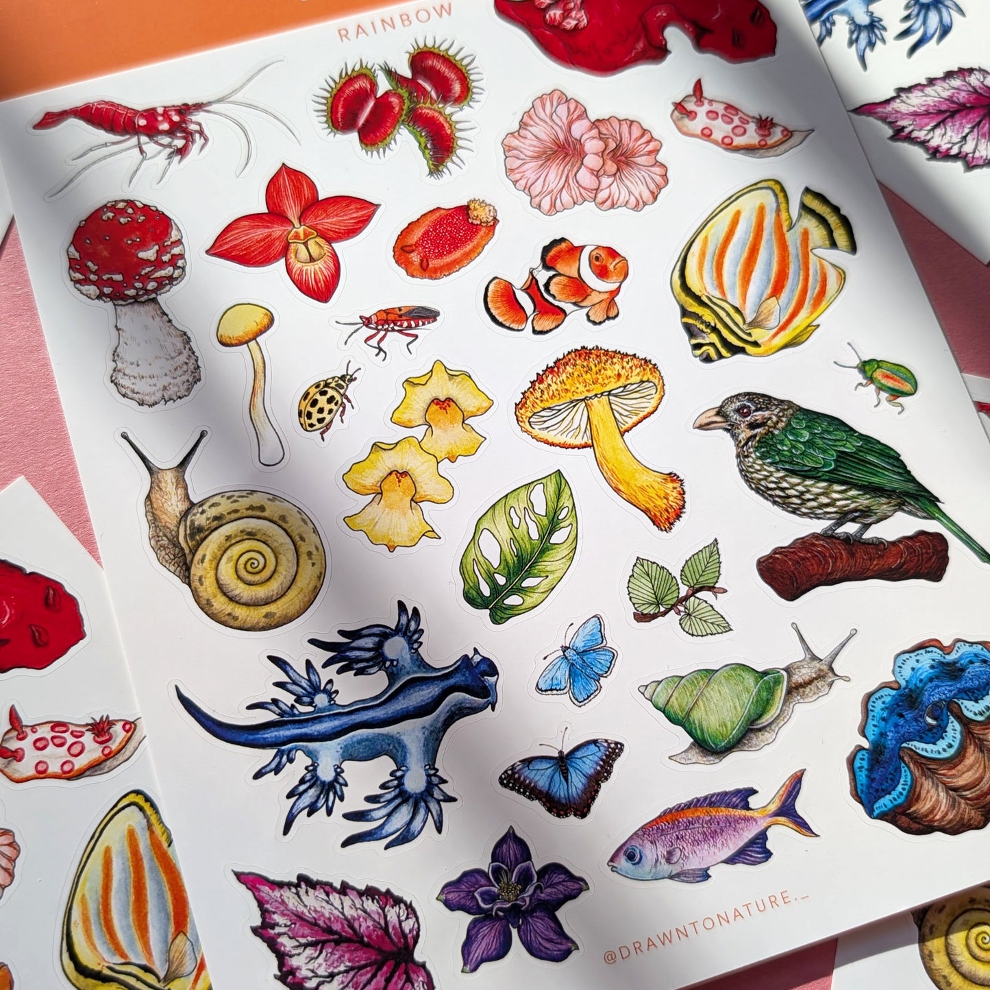 Rainbow Nature Sticker Sheet