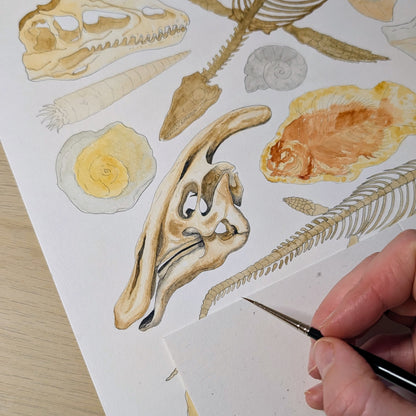 Ancient Fossils Print