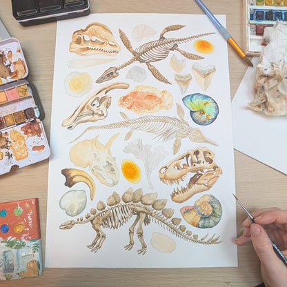 Ancient Fossils Print