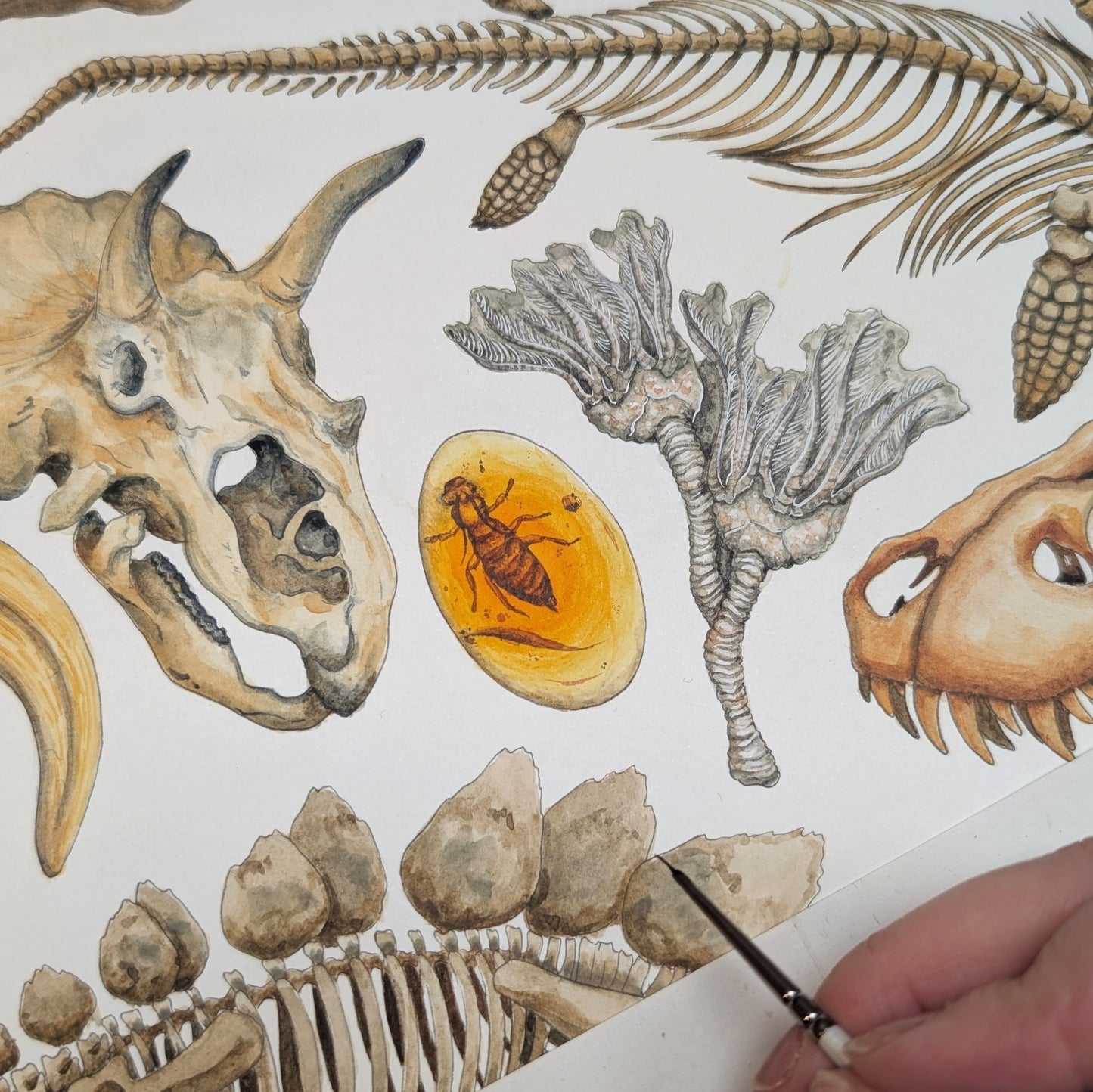 Ancient Fossils Print