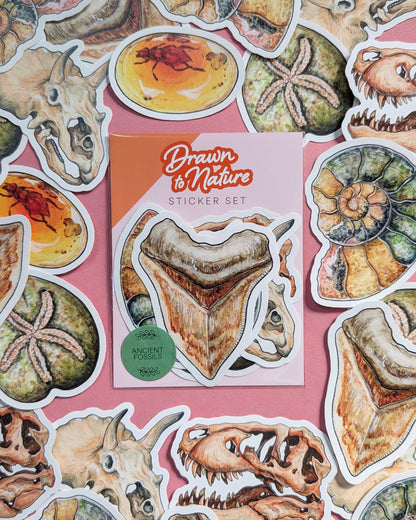 Ancient Fossils Sticker Pack - Set of 6