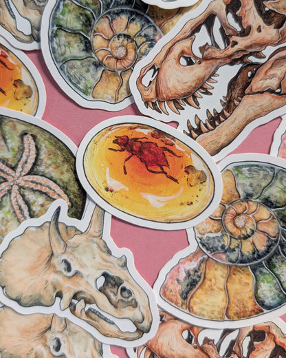 Ancient Fossils Sticker Pack - Set of 6