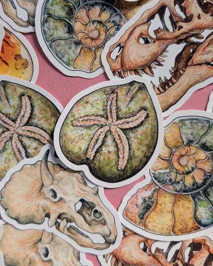 Ancient Fossils Sticker Pack - Set of 6