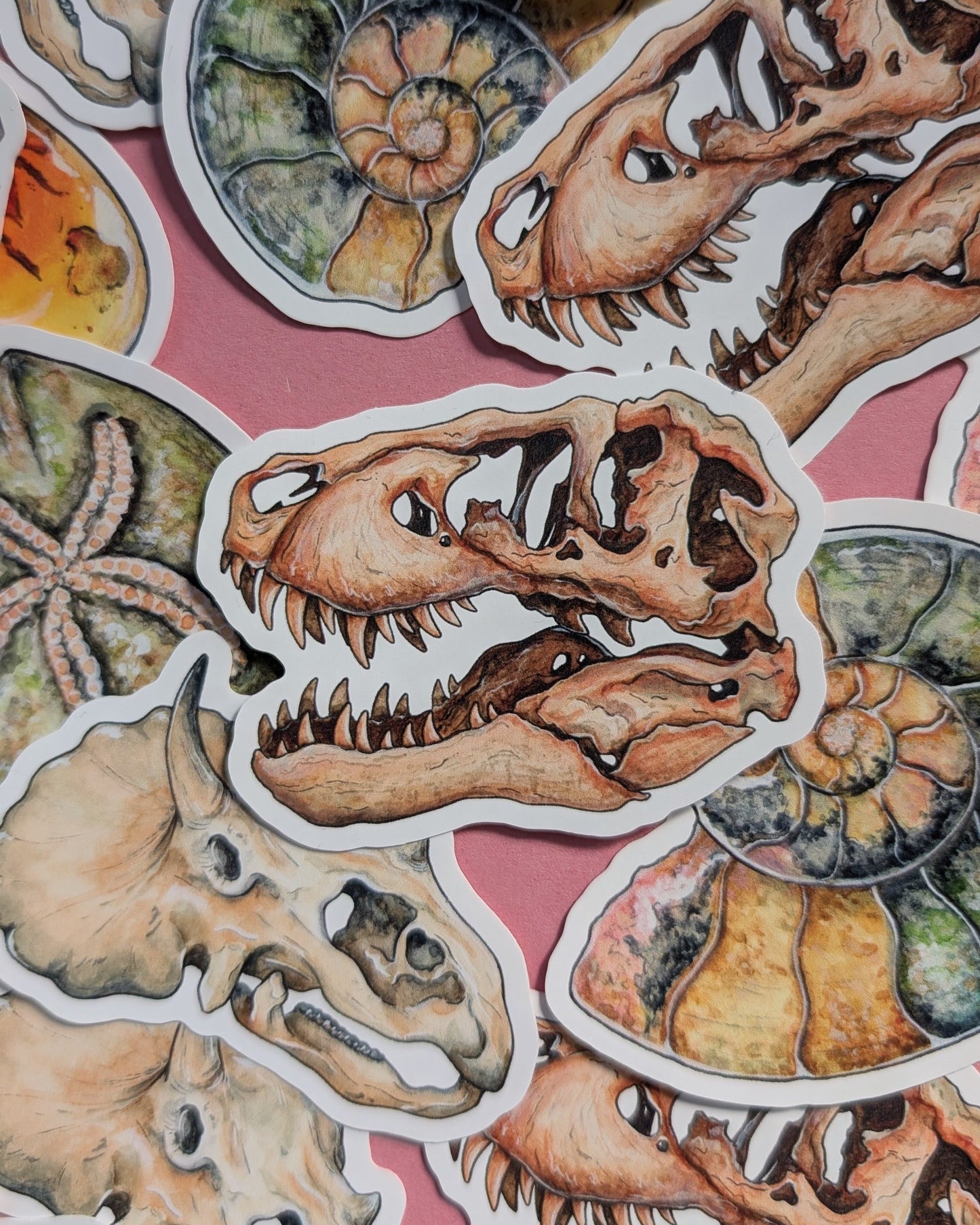 Ancient Fossils Sticker Pack - Set of 6